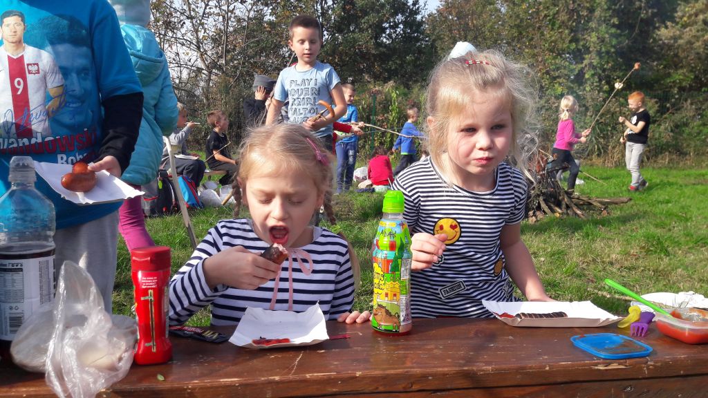 piknik