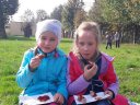 Piknik